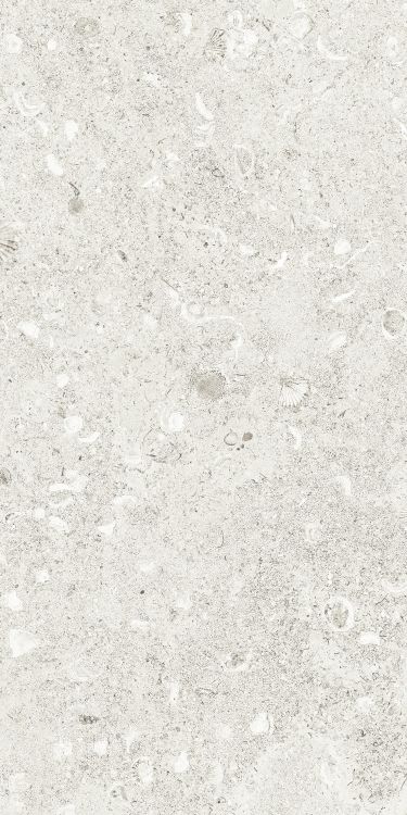 Sea Luster Bianca Matte 12 x 24